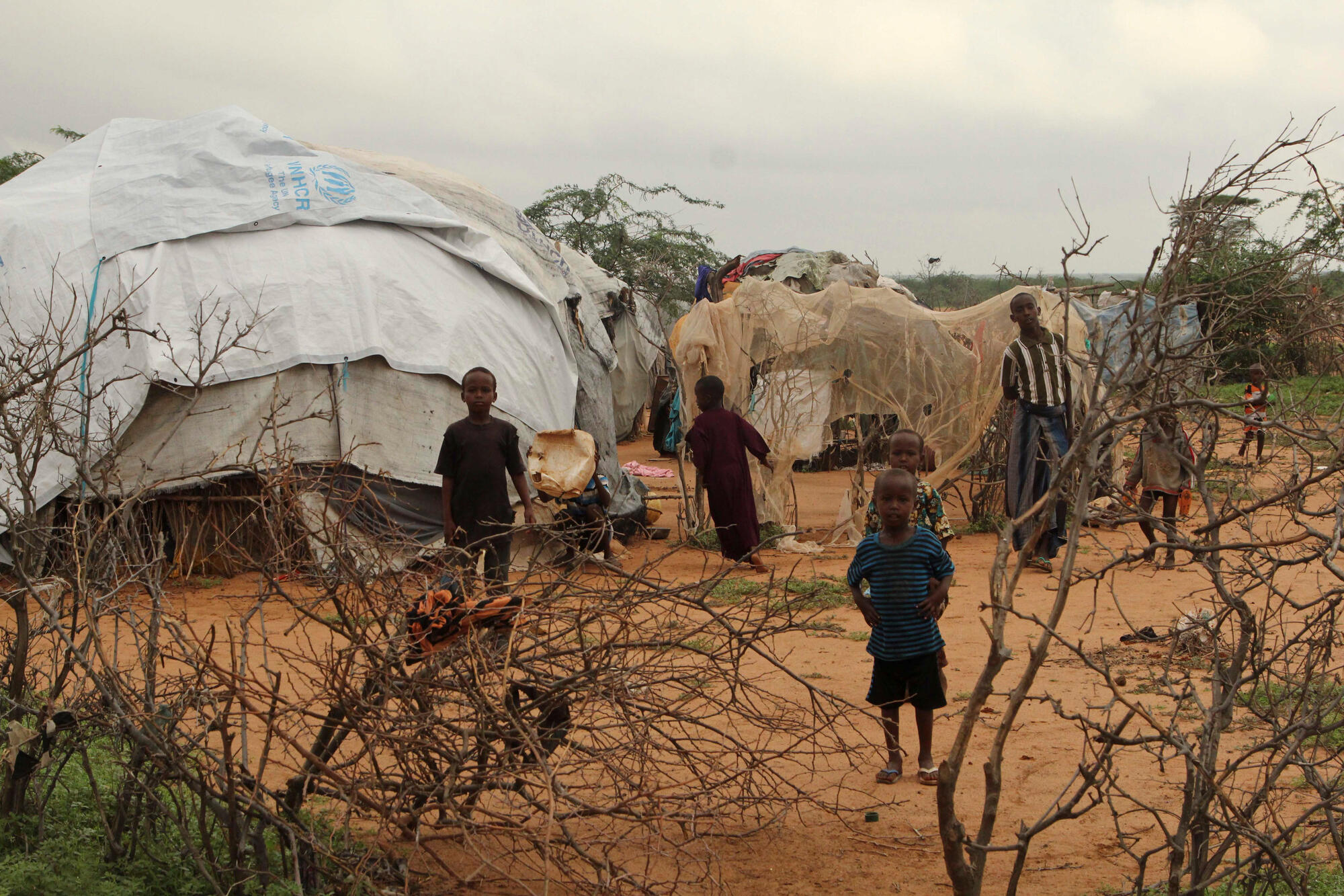 Dadaab: Agreement on refugee repatriation should not affect aid ...