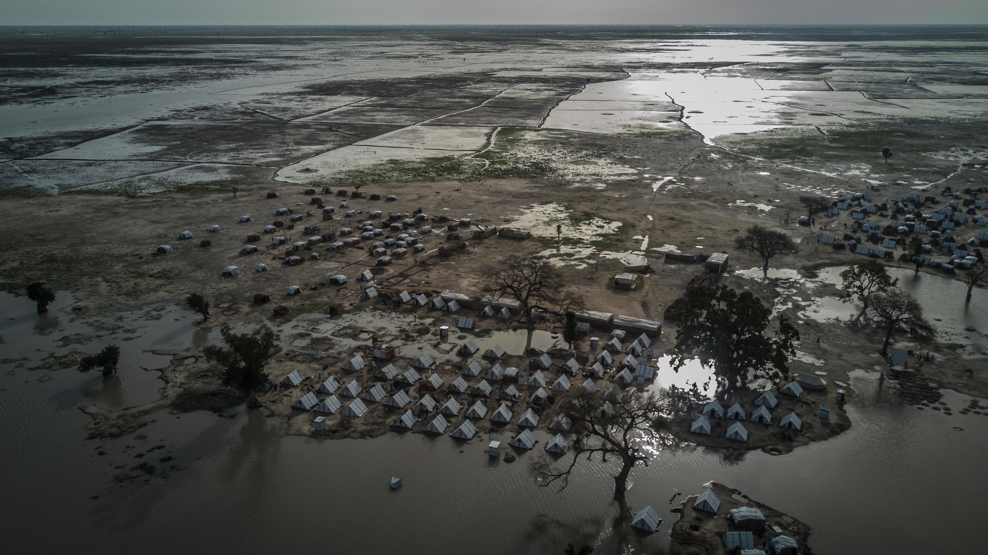 Lake Chad Crisis in depth MSF