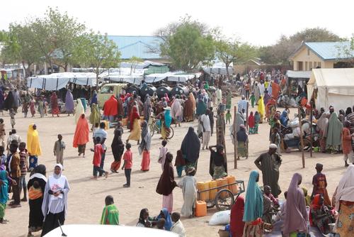 Nigeria: Searching for aid after fleeing the fighting Nigeria: Searching for aid after fleeing the fighting
