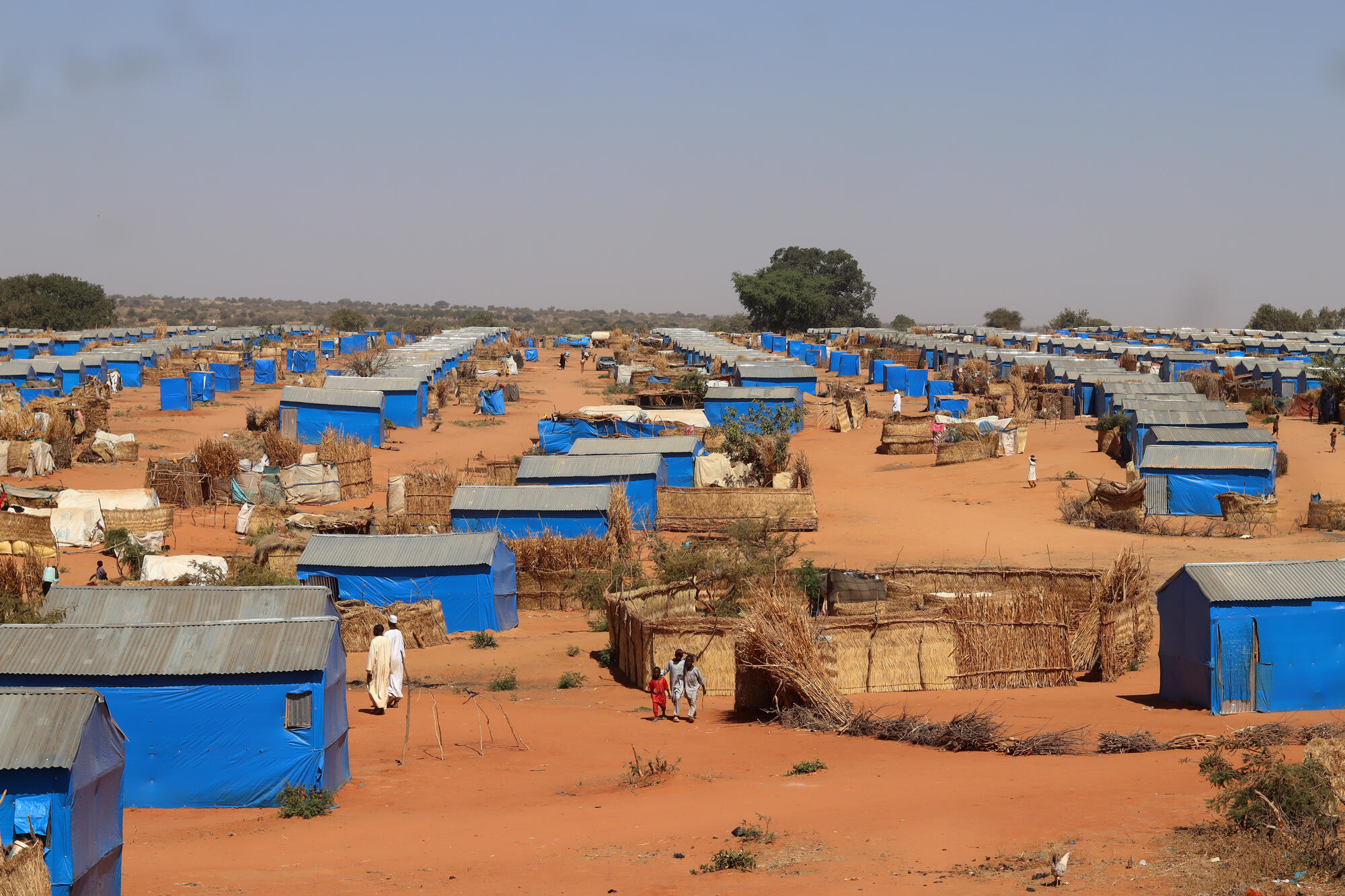 Half a million Sudanese refugees in Chad in dire need of humanitarian ...