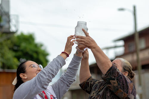 Fighting dengue with mosquitoes