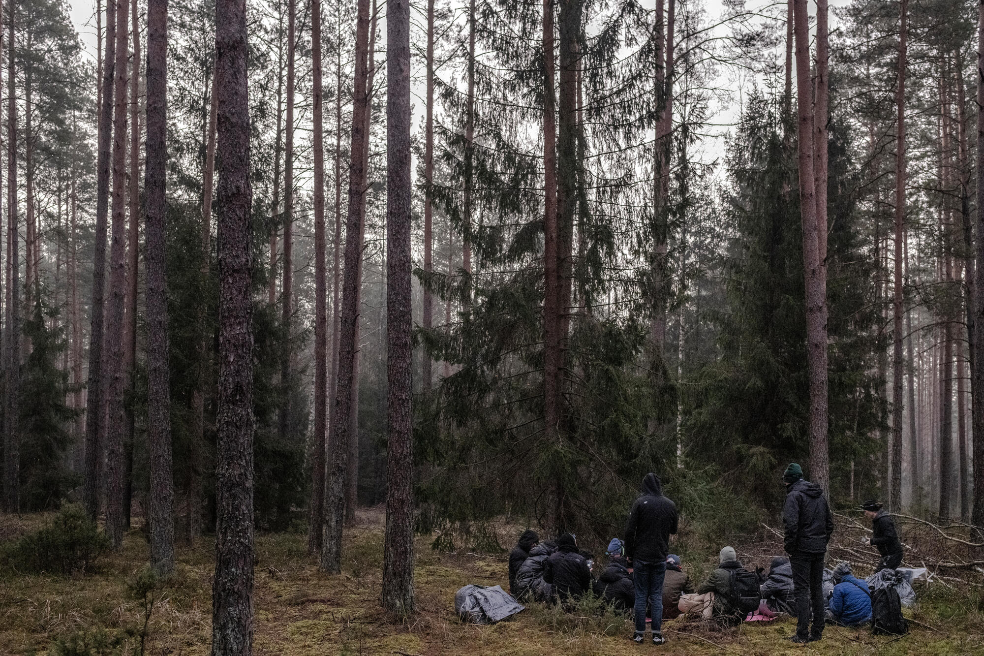 MSF meninggalkan perbatasan Polandia setelah diblokir dari membantu migran dan pengungsi