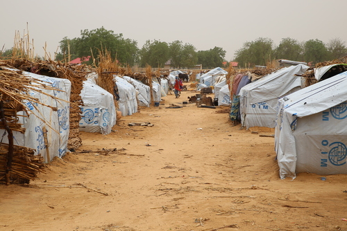 Displaced in Borno state Displaced in Borno state