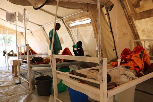 Cholera epidemic, Am Timan Cholera epidemic, Am Timan