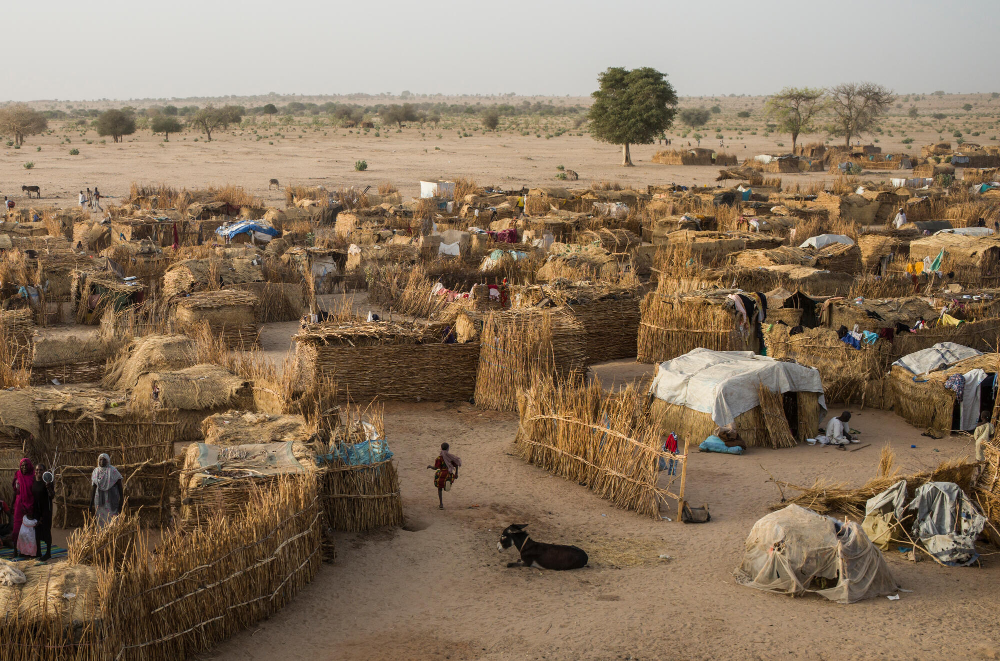 600,000 people already fled Sudan to seek refuge in Chad since April 2023. There are new arrivals on a daily basis