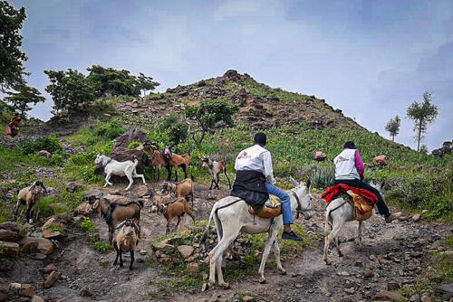Umo and Rokero Central Darfur Umo and Rokero Central Darfur