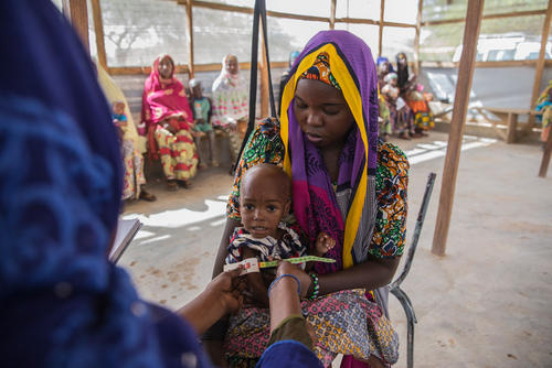 Diffa, Niger: a region devastated by the Boko Haram crisis Diffa, Niger: a region devastated by the Boko Haram crisis