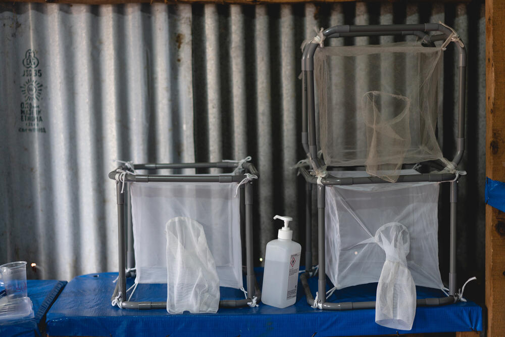 Jeanine's sister and father designed these mosquito cages to be lightweight and resistant so that she could easily transport and use them in harsh environments.