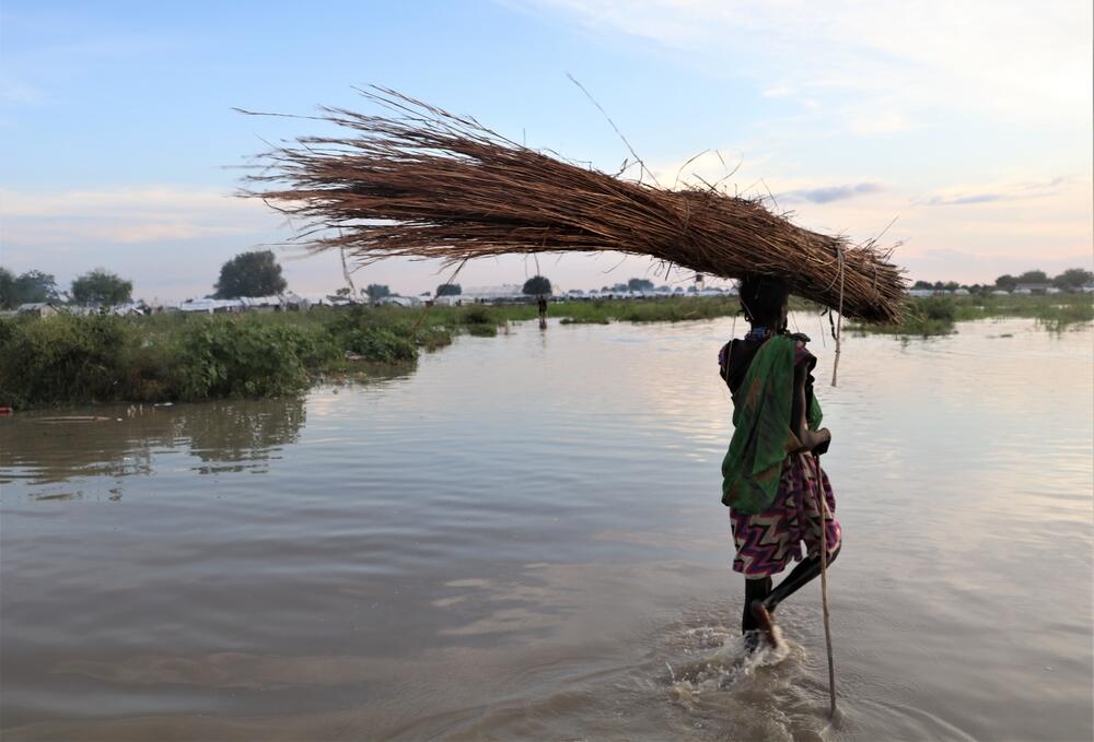 A woman carries tree branches to construct a shelter in Pibor town after the flooding destroyed her home