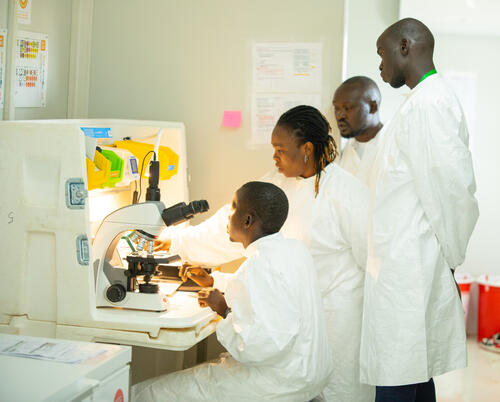 MSF team at work at microbiology laboratory
