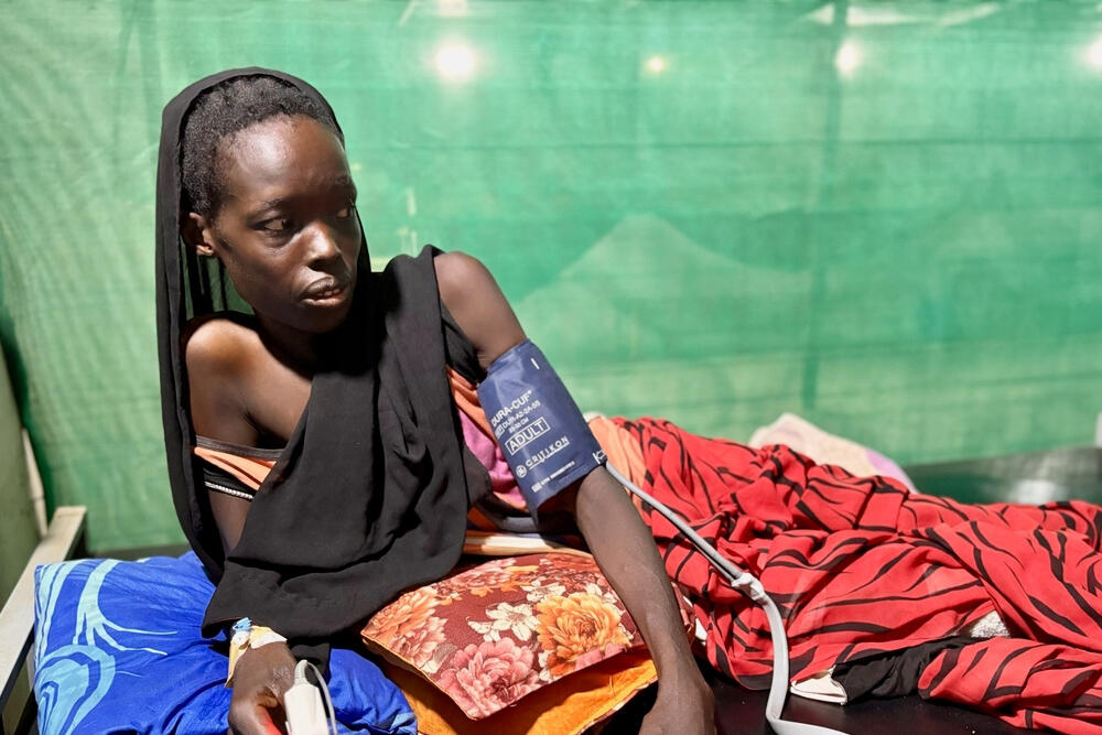 "There is no food or water in El Fasher. We had to eat fodder, and even that was expensive"