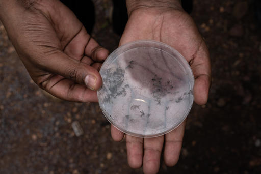Catching Mosquitoes to Fight Malaria Catching Mosquitoes to Fight Malaria