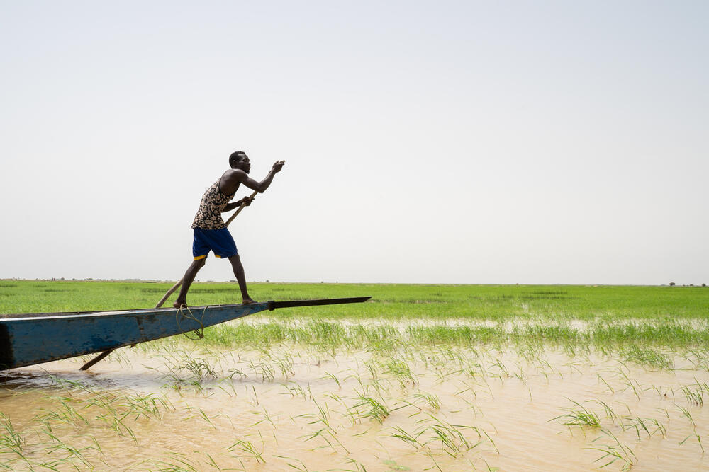 A boatman crossing the River Niger in Timbuktu region, northern Mali.