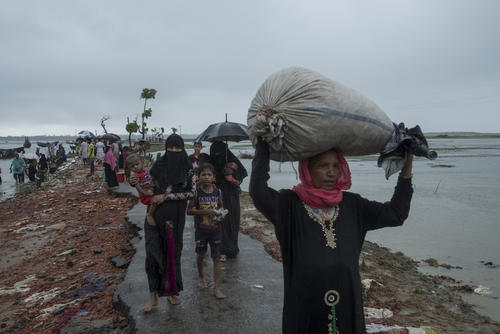 MSF Medical Action - Rohingya Crisis MSF Medical Action - Rohingya Crisis