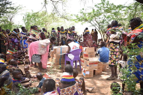 Turkana Measles and Malaria Response