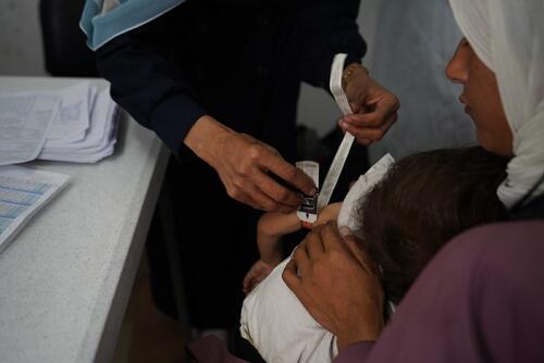 Starvation and Survival: Malnutrition in Gaza