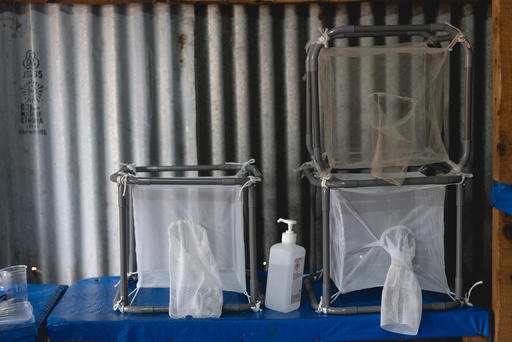 Catching Mosquitoes to Fight Malaria Catching Mosquitoes to Fight Malaria