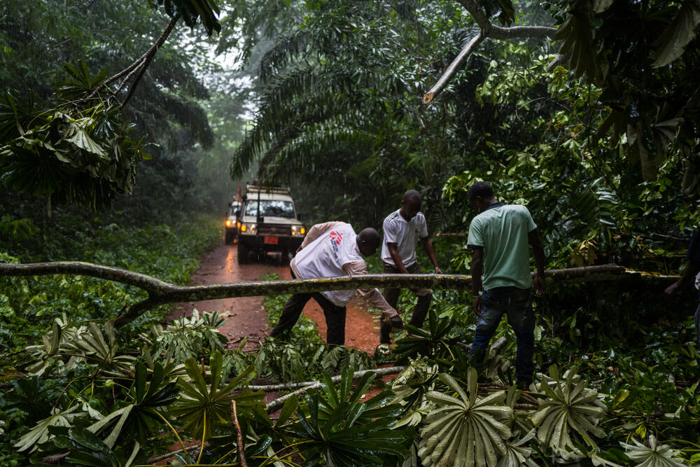 An MSF team cuts through fallen trees that have blocked the road from Bangassou