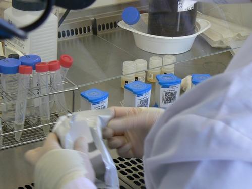 MSF treats DR-TB cases MSF treats DR-TB cases