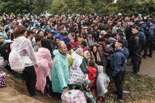 Refugees In Bapska, Serbia Refugees In Bapska, Serbia
