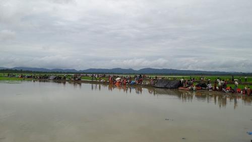 Rohingya who crossed into Bangladesh, fleeing violence in Rakhine state, Myanmar that started on 25 August.