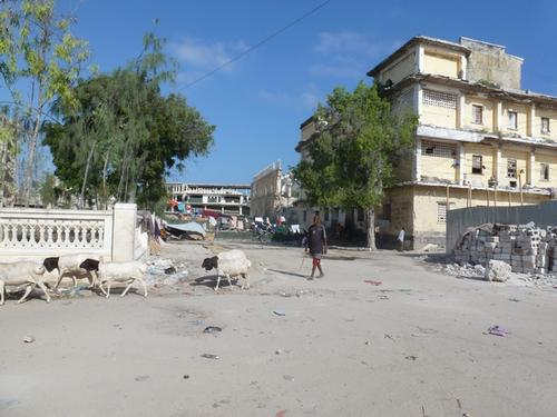 MSF activities in Mogadiscio for IDPs and general population. MSF activities in Mogadiscio for IDPs and general population.