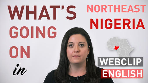 Explainer: What is going on in northeast Nigeria? | Webclip | English Explainer: What is going on in northeast Nigeria? | Webclip | English